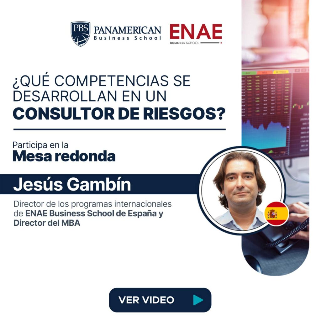 que competencias desarrollan consultor riesgos